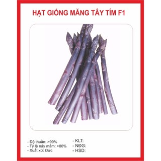 Hạt giống Măng Tây Tím dể trồng-gói 20 hạt-tặng kèm gói phân