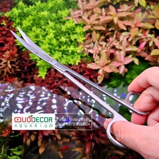 Kéo chihiros mũi cong 21cm | kéo thủy sinh chihiros | chihiros water plants scissor 21cm