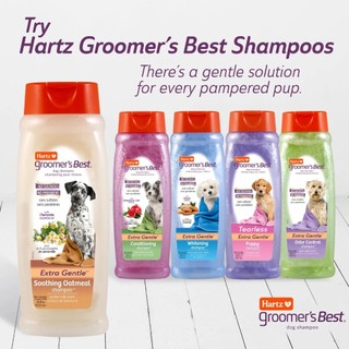 🇺🇸 Sữa Tắm Hartz Dog Shampoo For All Pet 532ml
