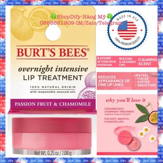 Mặt nạ ngủ Tự nhiên, Dưỡng ẩm môi đêm Burt's Bees Natural Overnight Lip Treatment, giảm nhăn, Chanh dây Hoa cúc Ceramide