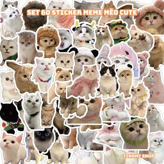 Set 60 sticker meme mèo cute dễ thương hình dán meme những chú mèo xinh đẹp đáng yêu trang trí
