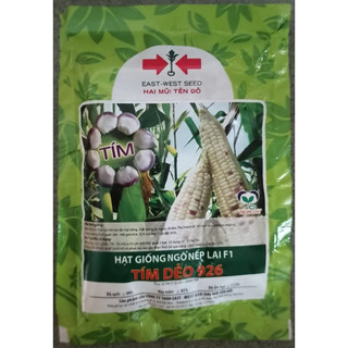 Hạt giống bắp nếp lai F1 Tím 2 mũi tên 100gram