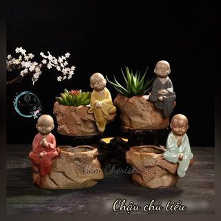 Chậu chú tiểu trồng cây cảnh, tiểu cảnh, bonsai