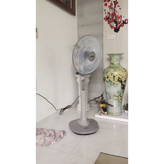 Quạt lửng Senko DR1608