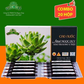 Combo 20 Hộp Cao Atiso Nước Ngọc Duy