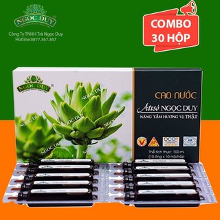 [FREESHIP 99K TOÀN QUỐC Combo 30 hộp Ống Uống Atiso Ngọc Duy