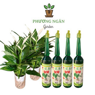 Dung Dịch Thuỷ Canh Chuyên Dùng Cho Cây Thuỷ Sinh
