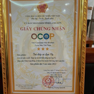 Trà Diếp Cá Lụa Vy túi 40 gói