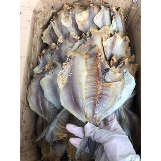 Cá chim biển khô dày thịt thơm ngon