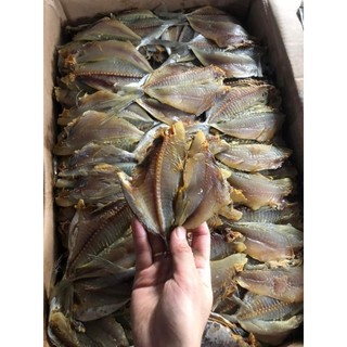 Cá chim biển khô dày thịt thơm ngon