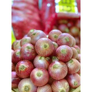Hành tím ấn độ 0,5-1kg.