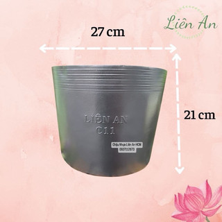 Chậu nhựa trồng cây liên an