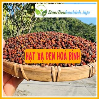 Hạt Xạ Đen Khô chuẩn Hoà Bình( lá tía răng cưa)