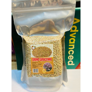 500g hạt kiều mạch (Buckwheat) hữu cơ Ucraina
