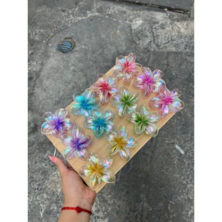 Kẹp tóc hoa sứ thuỷ tinh hologram
