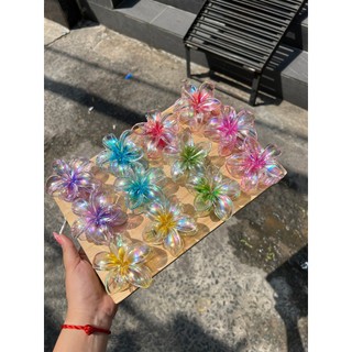[CÓ SẴN] Kẹp tóc hoa sứ thuỷ tinh hologram