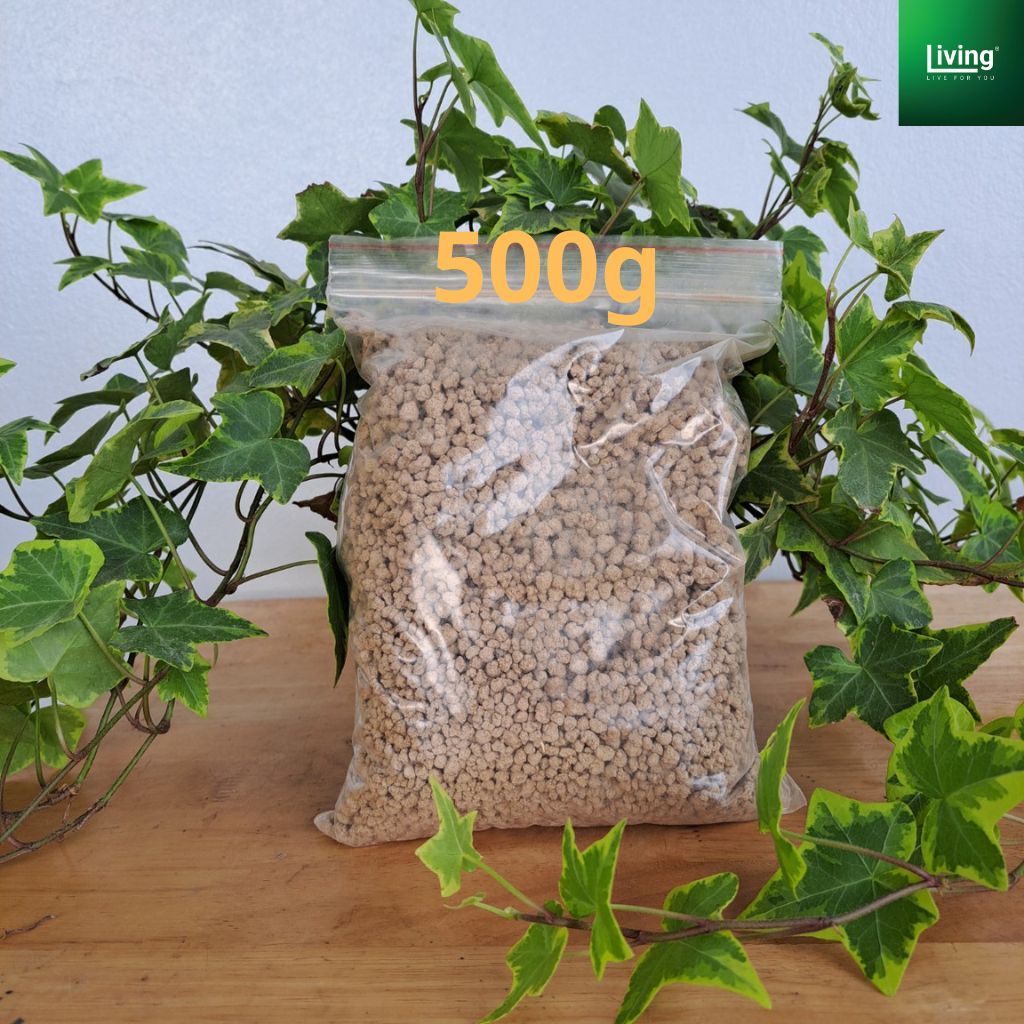 Đất nhật Akadama trồng sen đá, xương rồng, bonsai | Living Decor