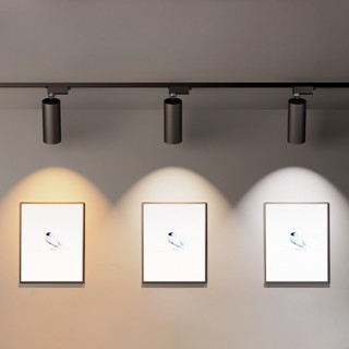 Combo 3 Đèn Rọi Ray 10W + Thanh Ray 1 Mét, Đèn Rọi Ống Bơ Dài Gắn Tường Soi Tranh, Bể Cá