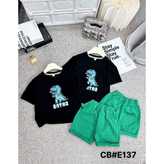 Sét bộ khủng long bé trai