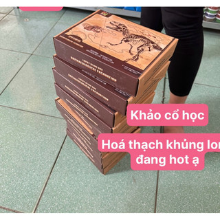 Khảo cổ học hoá thạch khủng long cho bé