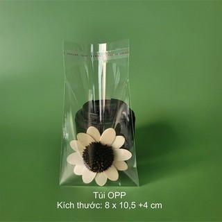 [LOẠI NHỎ] 1kg Túi bóng kính siêu trong có dính mép ( đựng quần áo, phụ kiện, bảo quản sản phẩm)