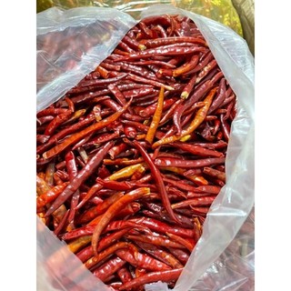 Lẻ 1kg Ớt khô tứ xuyên nguyên quả