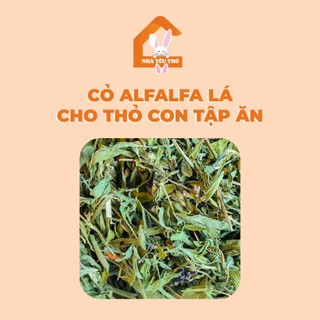 Cỏ Alfalfa lá cho thỏ con tập ăn hoặc thỏ dưới 6 tháng !!