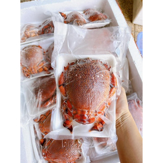 Cua Huỳnh Đế Cấp Đông