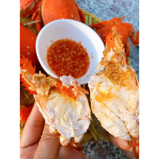 Cua Huỳnh Đế Cấp Đông