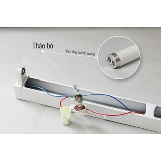 Chuột Bóng Đèn Huỳnh Quang PHILIPS