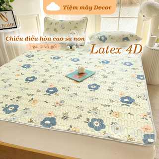 Chiếu điều hòa cao su non Latex 4D set 3 món, họa tiết dễ thương, phong cách vintage