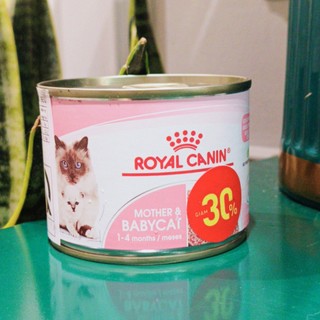 BABYCAT Pate Cho Mèo Mẹ & Mèo Con Cai Sữa Tập Ăn ROYAL CANIN MOTHER & BABY CAT 195g