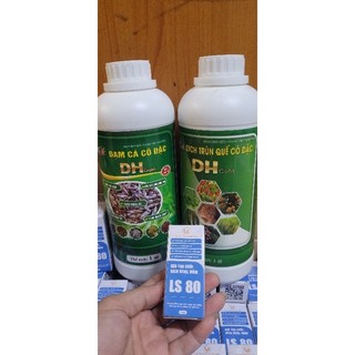 Đạm cá hữu cơ cô đặc SBC can 5 lít