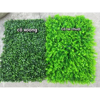Thảm Cỏ Tai chuột/Thảm cỏ xoong - Kích thước 40cm x 60cm