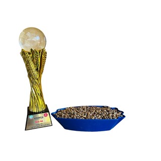 Top 3 cà phê nhân xanh arabica Việt Nam amazing cup 2022-2024