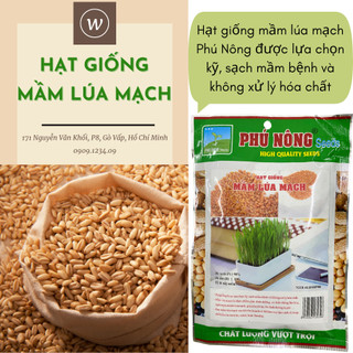 Hạt giống mầm lúa mạch PN (50gr) được lựa chọn từ nguồn giống tốt nhất (Vườn Sài Gòn - Vuon Sai Gon)