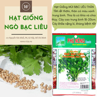 Hạt giống NGÒ BẠC LIÊU 20gr, ngò thơm nồng, hạt giống chắc khỏe, tỉ lệ nẩy mầm >95% (Vườn Sài Gòn)