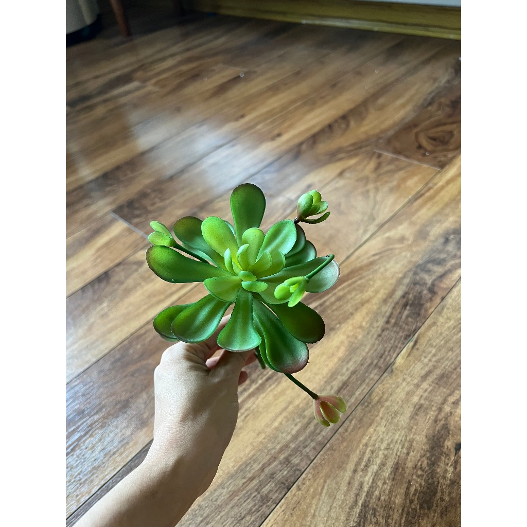 Cành sen đá mầm (cây giả decor)