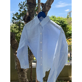 Basic Striped Shirt