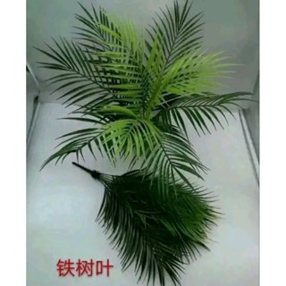 Cụm lá dừa 9 lá