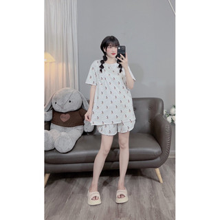 Bộ cốt tông đùi bầu.