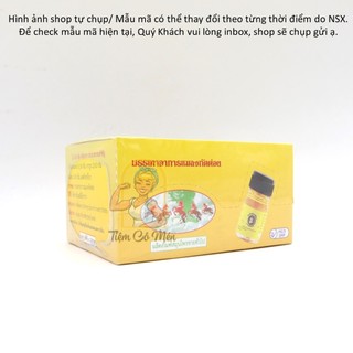 LỐ 12 CHAI Dầu Gió Bà Mập  - 3ml