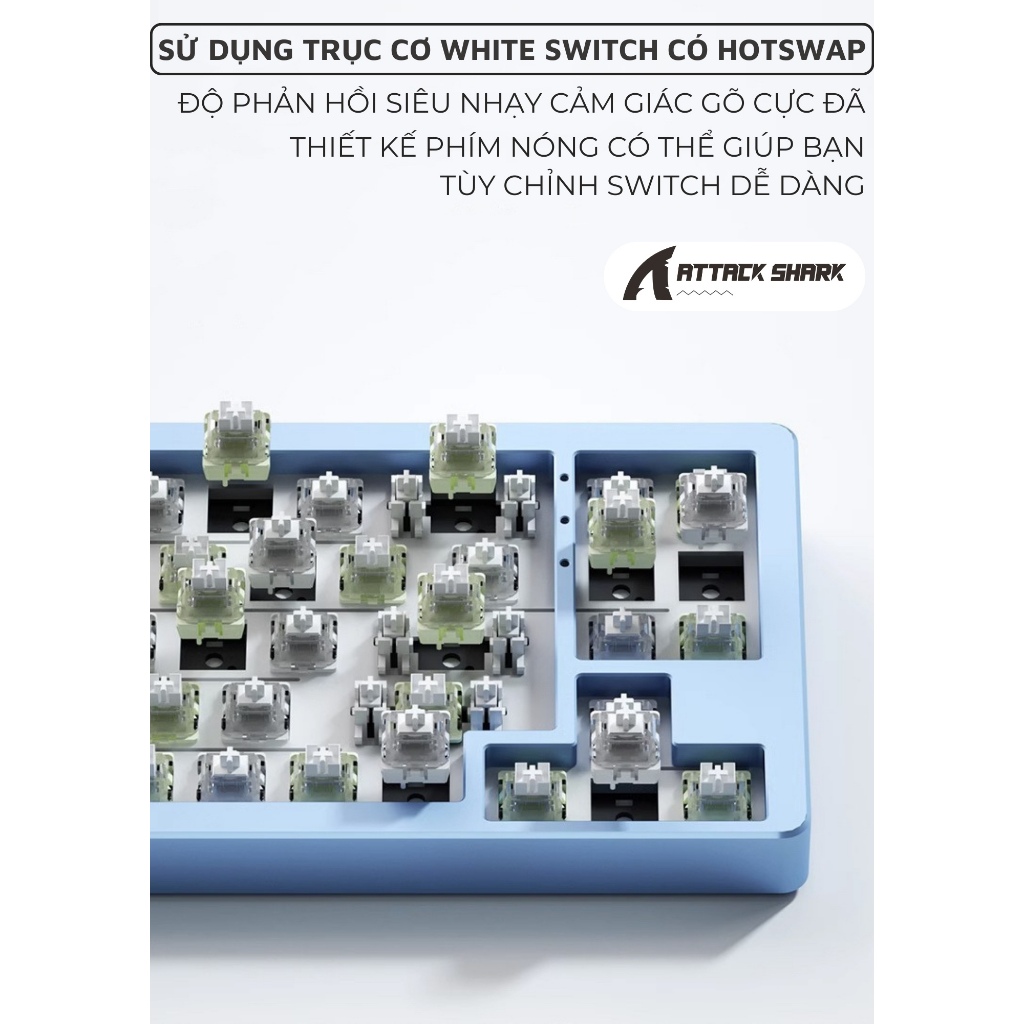 Bàn Phím Cơ Bluetooth Cao Cấp Attack Shark M71 New 2024 Khung Nhôm CNC LED RGB 3 MODE Hotswap 5 Pin | BigBuy360 - bigbuy360.vn