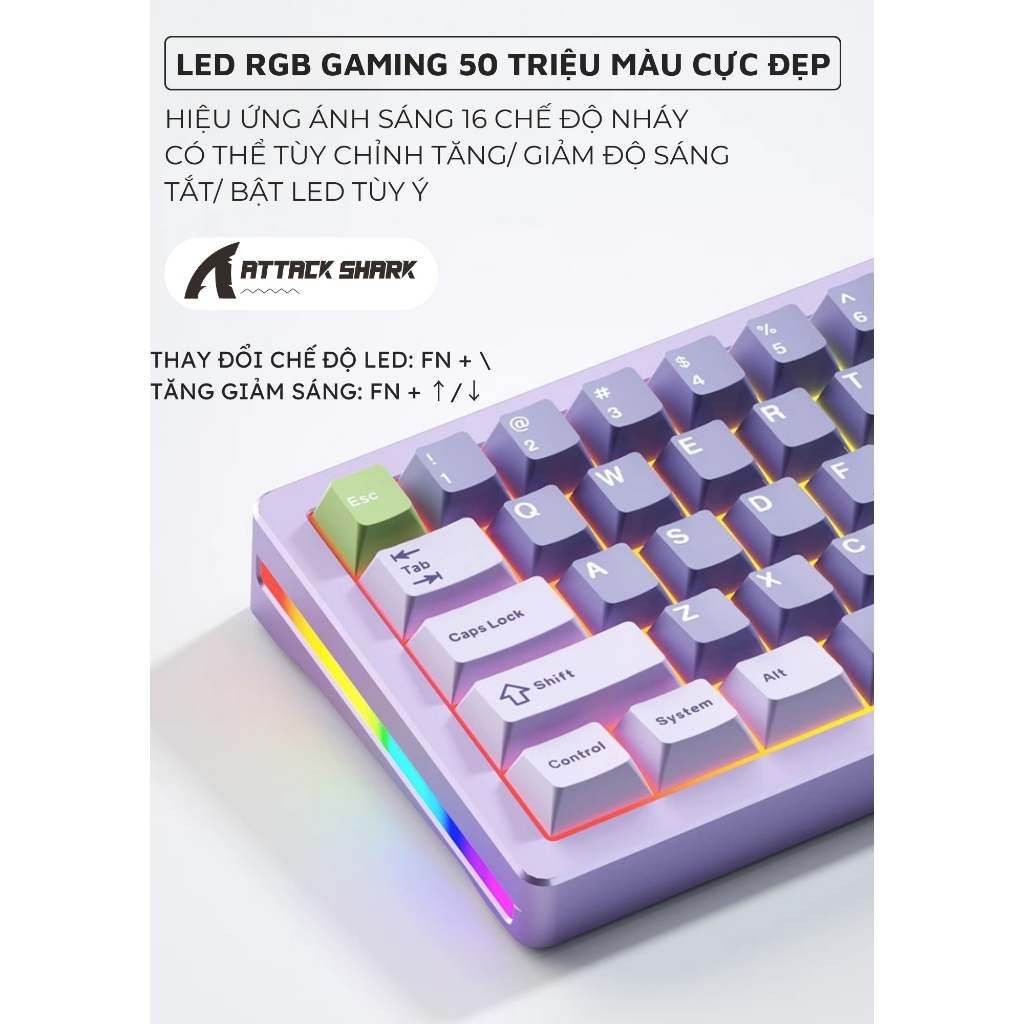 Bàn Phím Cơ Bluetooth Cao Cấp Attack Shark M71 New 2024 Khung Nhôm CNC LED RGB 3 MODE Hotswap 5 Pin | BigBuy360 - bigbuy360.vn