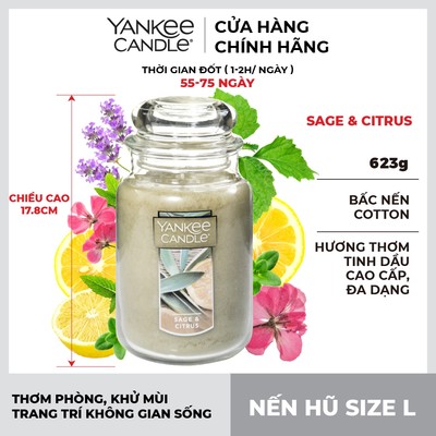 Nến hũ Yankee Candle size L - Sage & Citrus (623g)