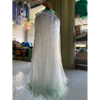 40m Lòng tong 1 màng 1phân5 đánh nổi cao 90cm cá suối long tong cá bé