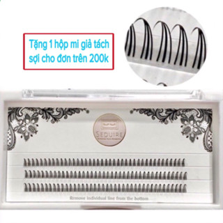  Lông mi giả SEDUIRE dáng chữ A dùng nối mi Anime mắt ướt tự nhiên 