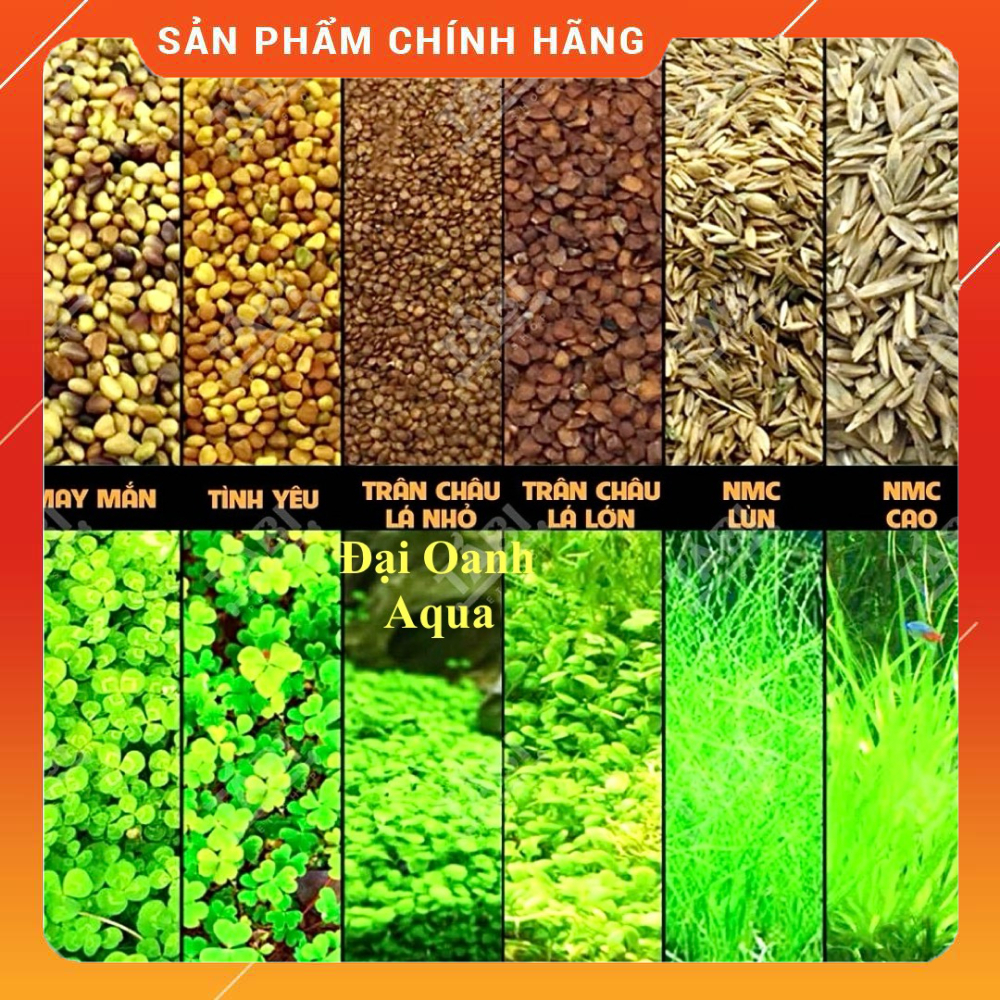 2 Gói Hạt Giống Thủy Sinh Các Loại Túi 10gram ( TỶ LỆ NẢY MẦM ĐẠT >80% )