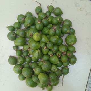 1kg trái ổi sẻ non