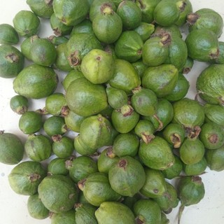 1kg trái ổi sẻ non